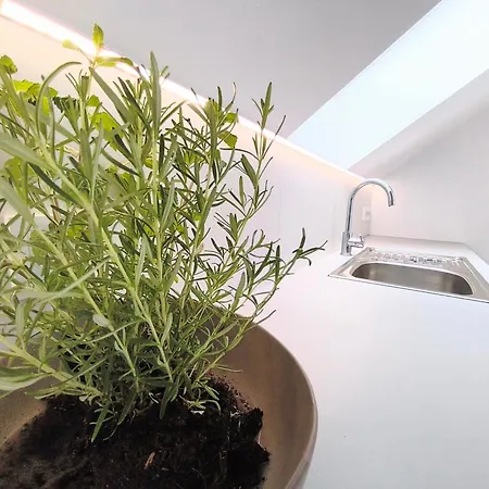 Apartment Poprad - Near High Tatras, Free Parking * Poprad