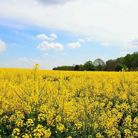 Appartement Apartment Poprad - Near High Tatras, Free Parking