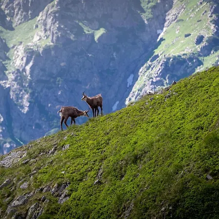 Appartement Apartment Poprad - Near High Tatras, Free Parking