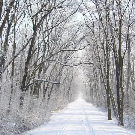 Apartment Poprad - Near High Tatras, Free Parking Appartement