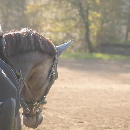 Apartment Poprad - Near High Tatras, Free Parking *