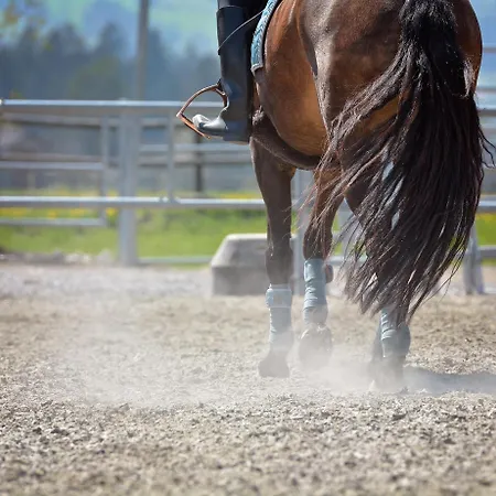 Apartment Poprad - Near High Tatras, Free Parking Poprad