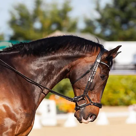 Apartment Poprad - Near High Tatras, Free Parking